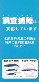 調査捕鯨は貢献しています