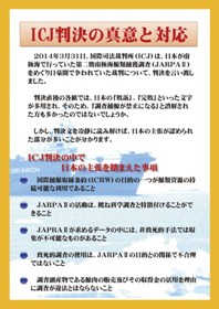ICJ判決の真意と対応